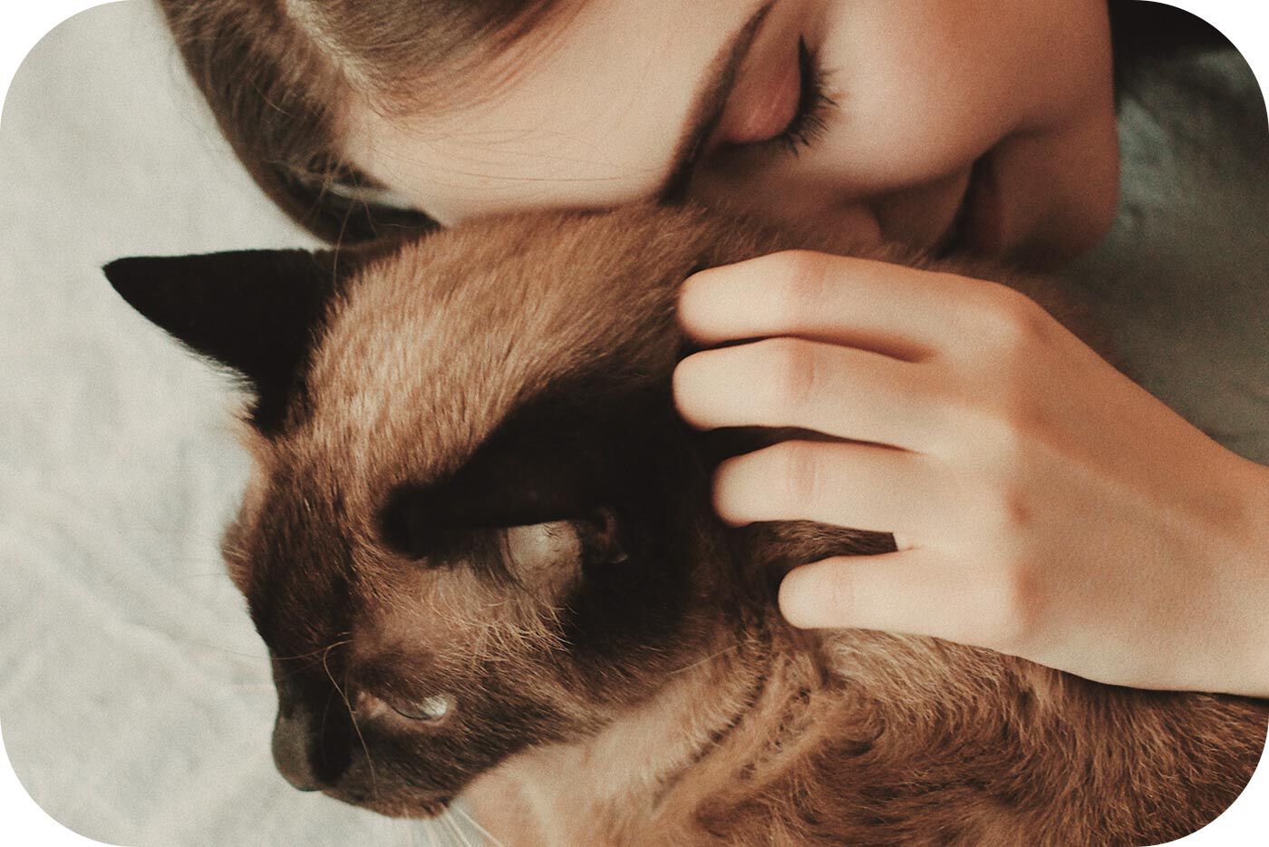 Chica acariciando a su gato