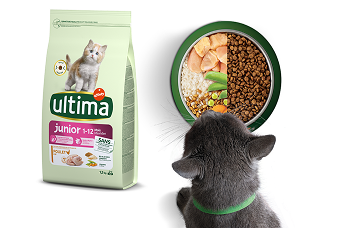 Ultima Junior para gatitos