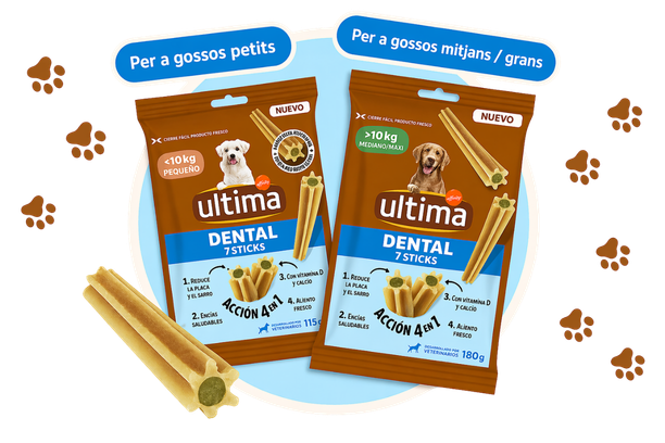 Snacks 1.png