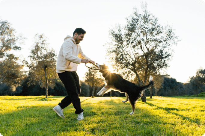 Perro jugando con su pet parent