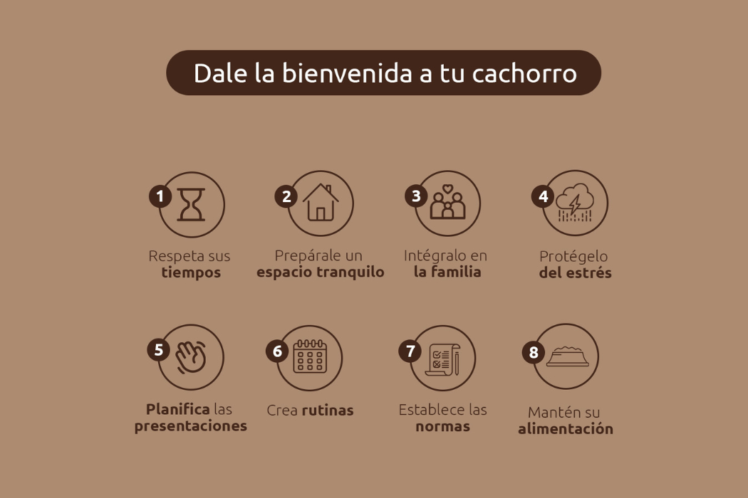 Bienvenida a tu cachorro