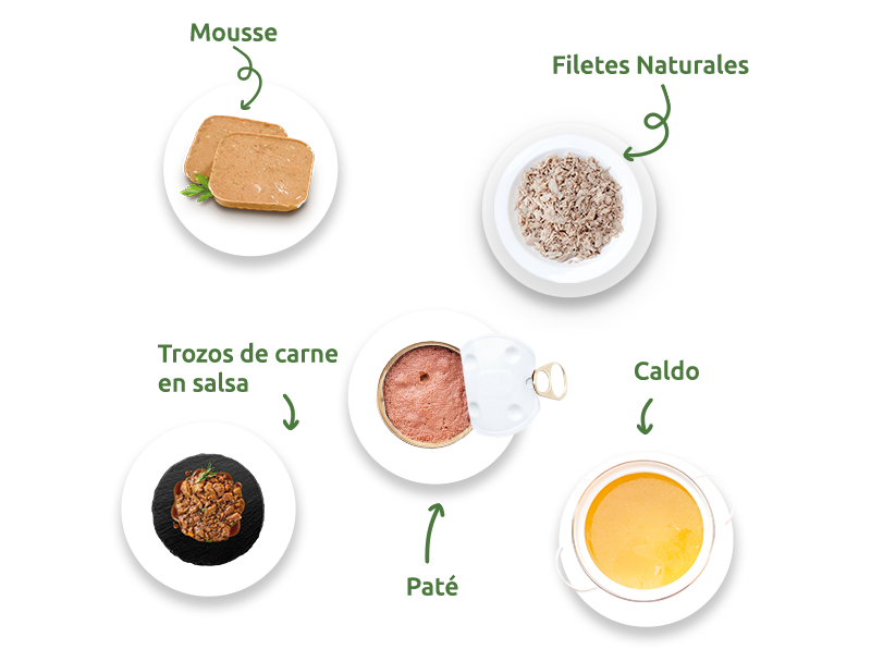 comida humedad
