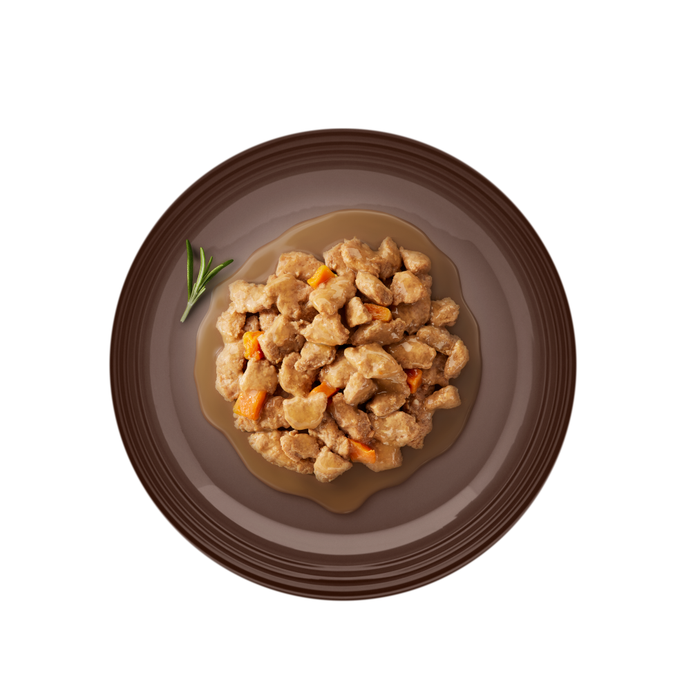 Wet food dog plate