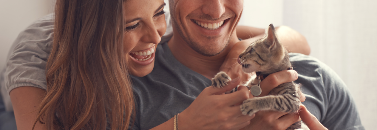 Gu&iacute;a cuidados gato reci&eacute;n nacido