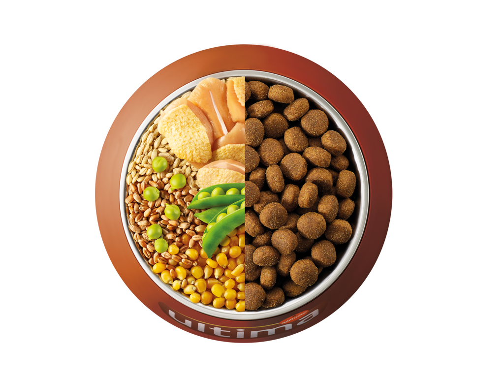 Pollo, cebada, cereales integrales y guisantes