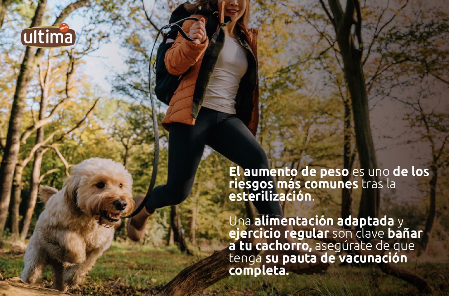 Imagen de perro con orejas levantadas en el campo. Texto: El aumento de peso es uno de los riesgos m&aacute;s comunes tras la esterilizaci&oacute;n. Una alimentaci&oacute;n adaptada y ejercicio regular son clave. Vi&ntilde;eta: &iexcl;No estoy gordito, solo llenito de amor!