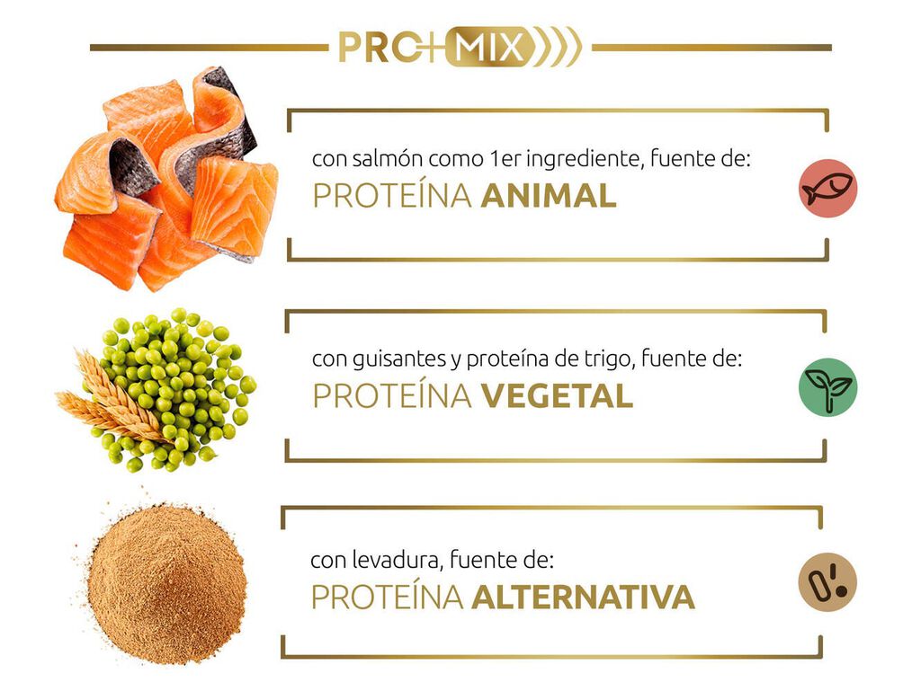 La nostra innovadora combinaci&oacute; de prote&iuml;nes d'alta qualitat, f&agrave;cil de digerir i que aporta amino&agrave;cids essencials per a contribuir al seu metabolisme muscular.