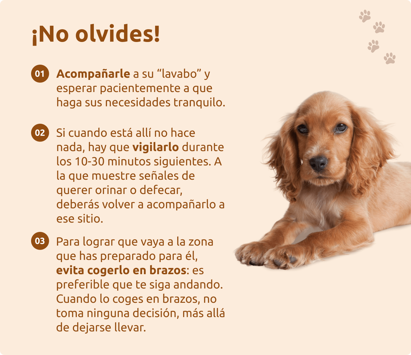 &iexcl;No olvides!