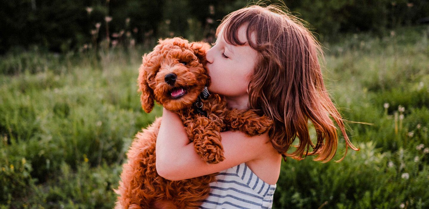 C&oacute;mo socializar a tu cachorro