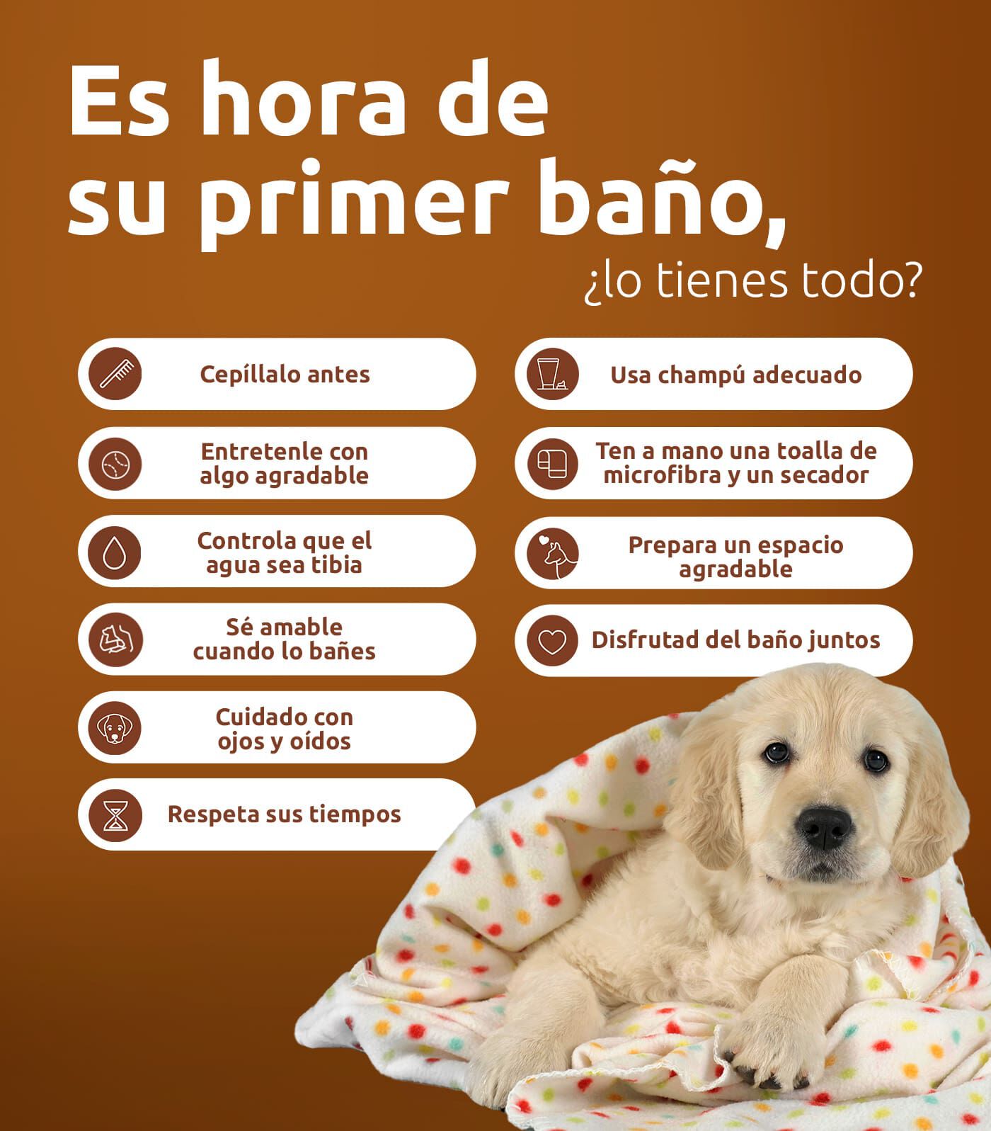 El primer ba&ntilde;o de tu perro
