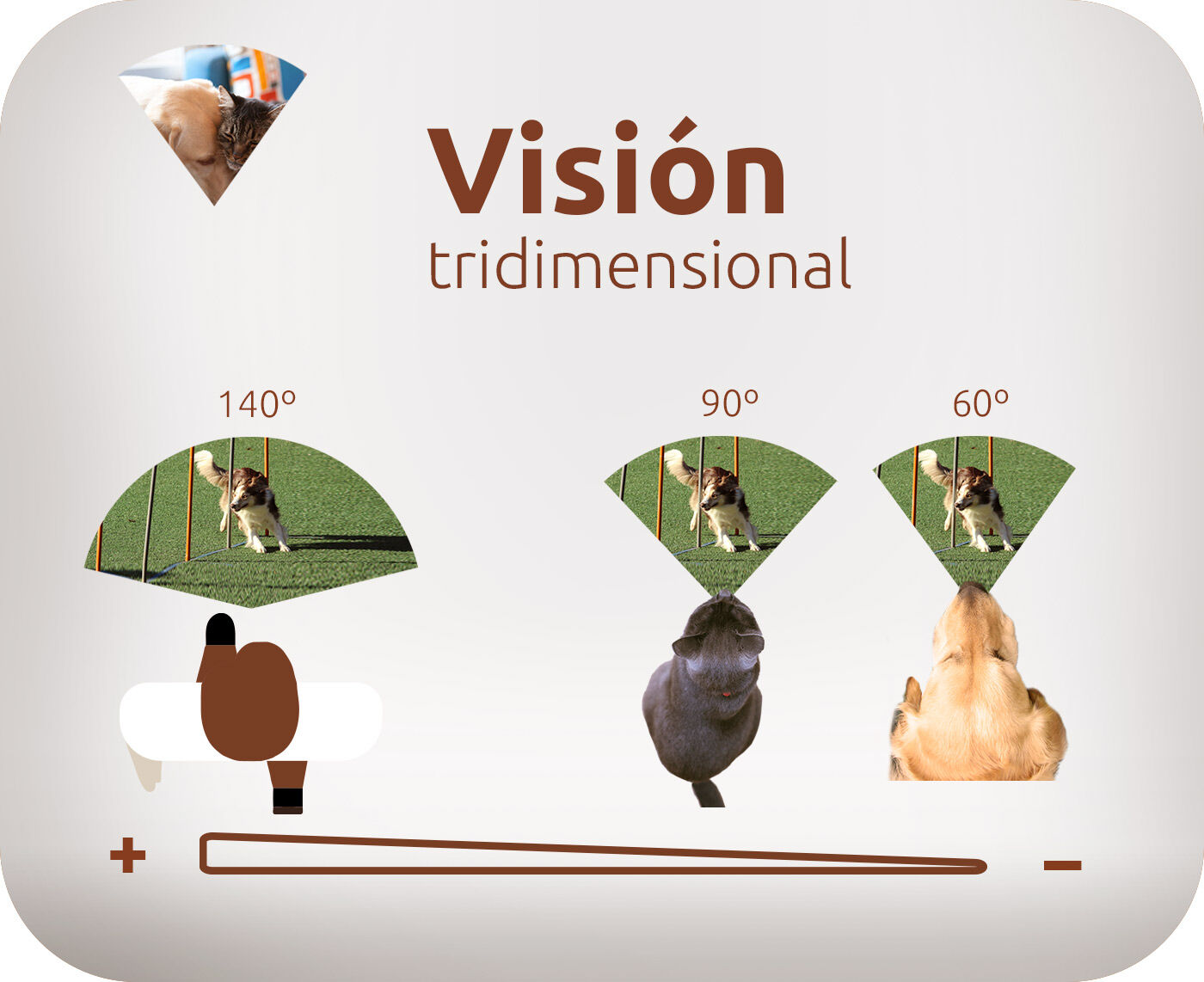 Visi&oacute;n tridimensional
