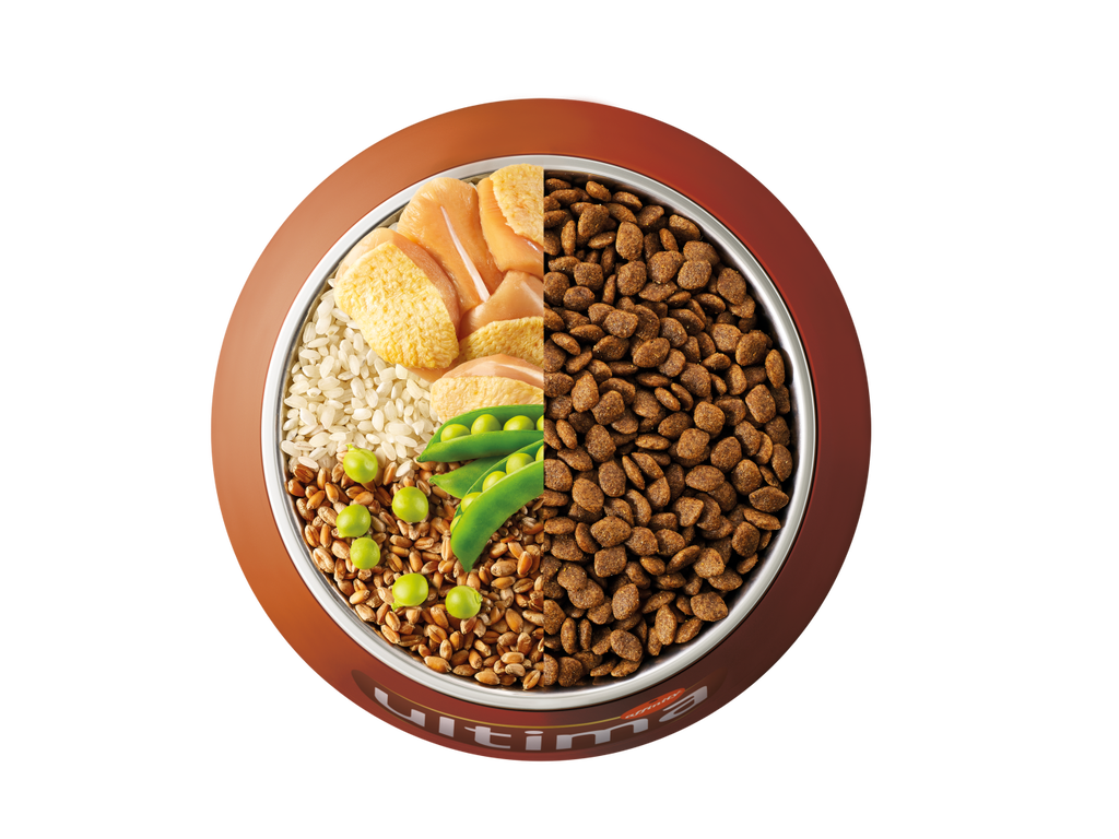 Pollo, arroz, cereales integrales y guisantes