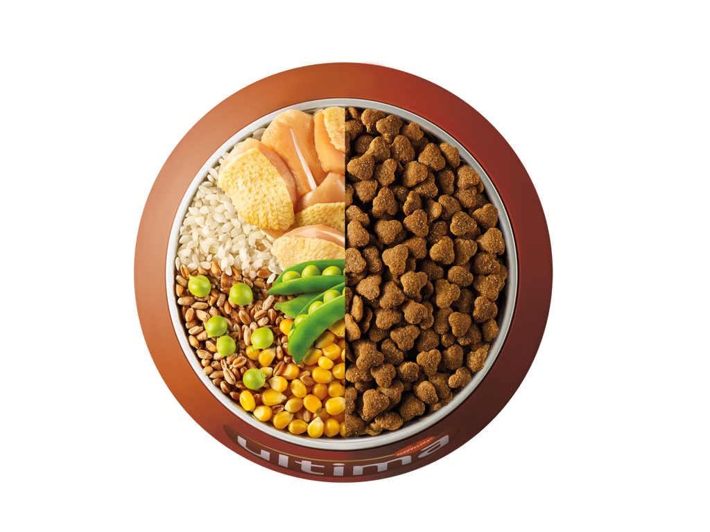 Pollo, arroz, cereales integrales y guisantes