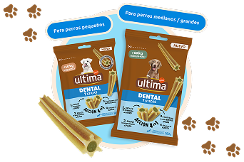 Landing snacks ES Dental Desktop.png