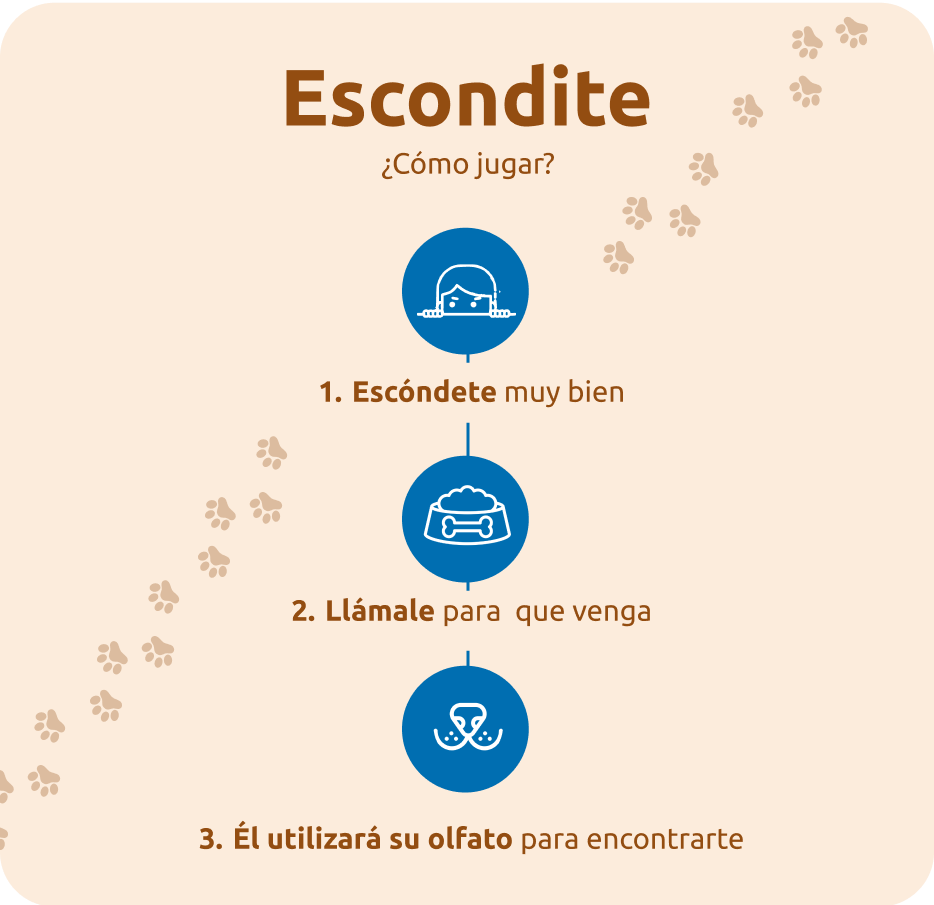 C&oacute;mo jugar al escondite