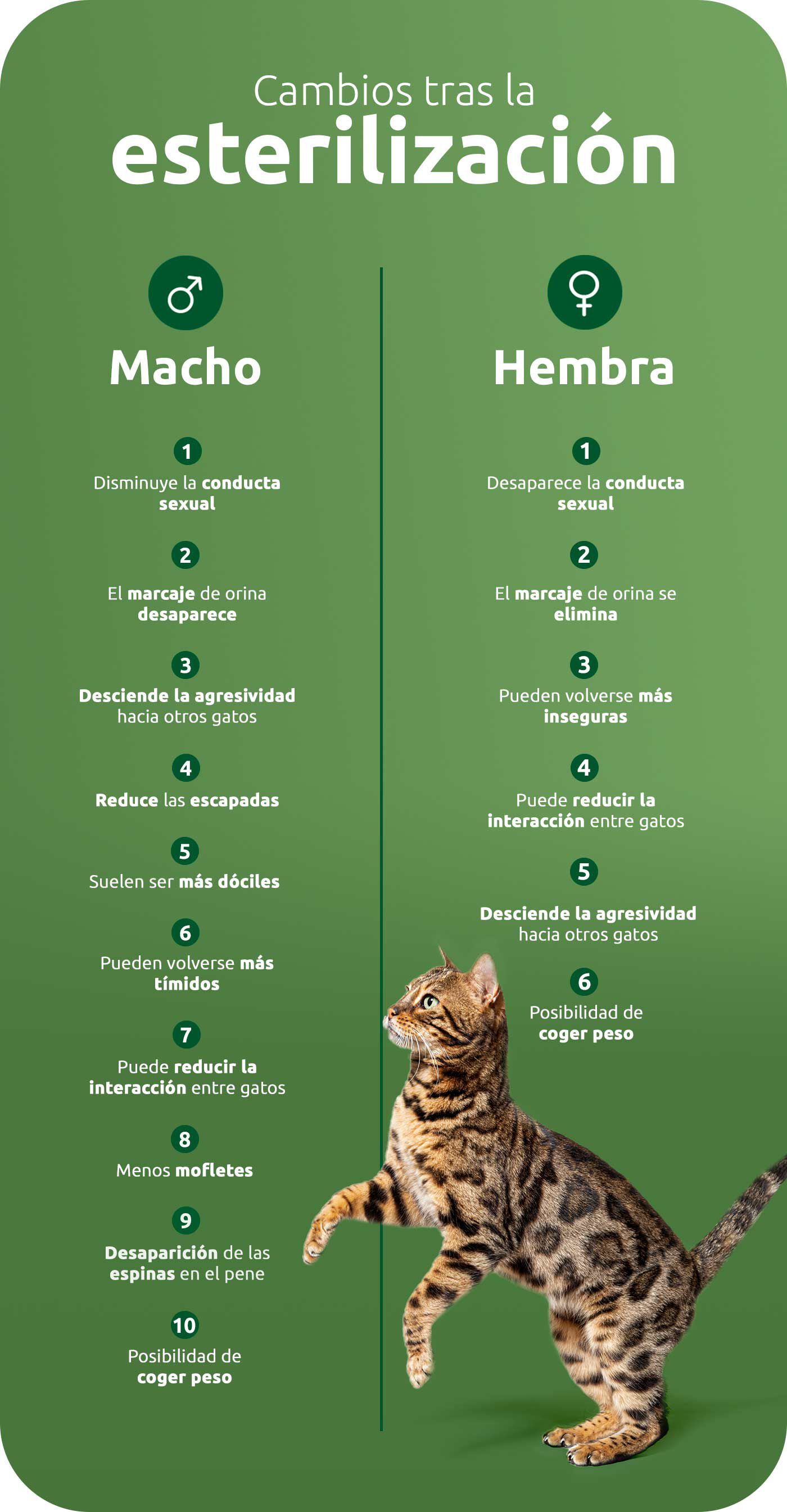 cambios 