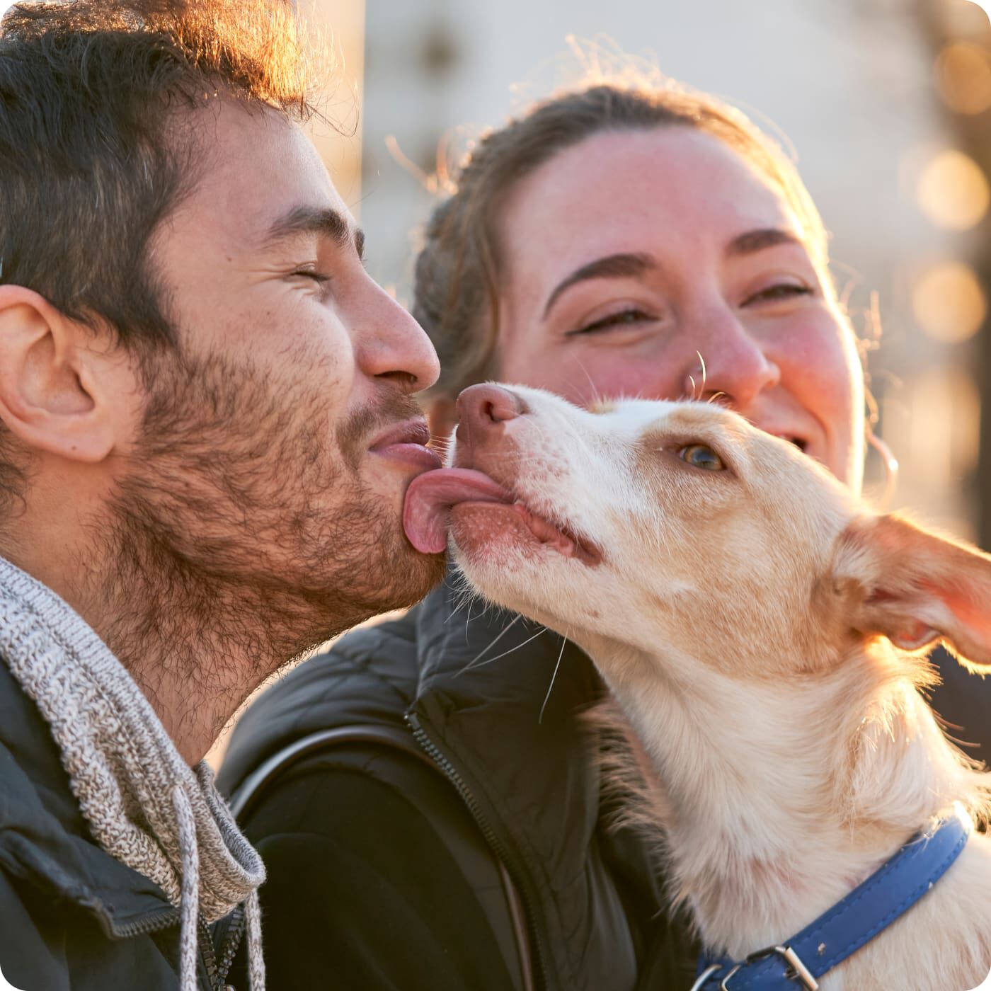Perro lamiendo la cara del due&ntilde;o