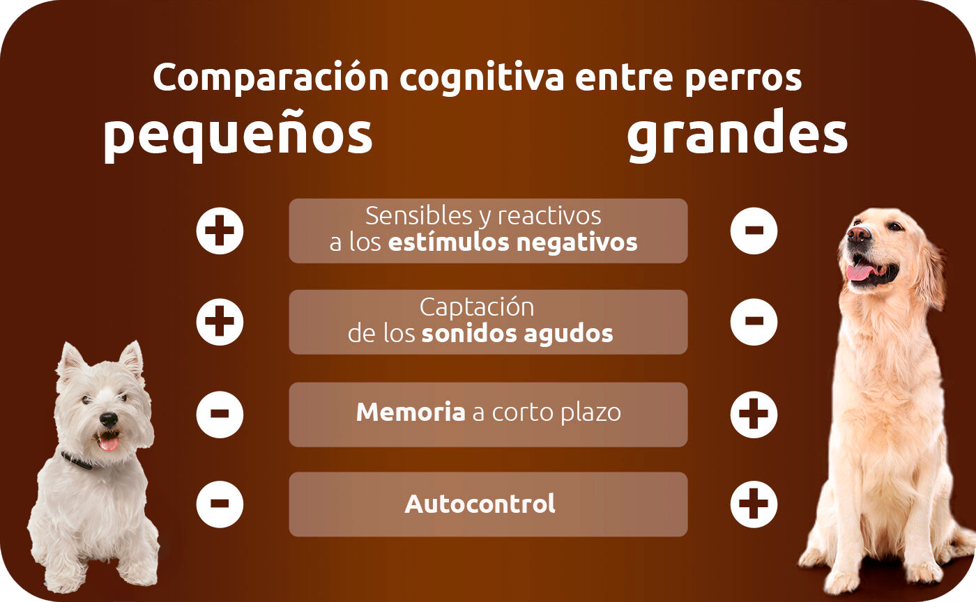 comparativa perros