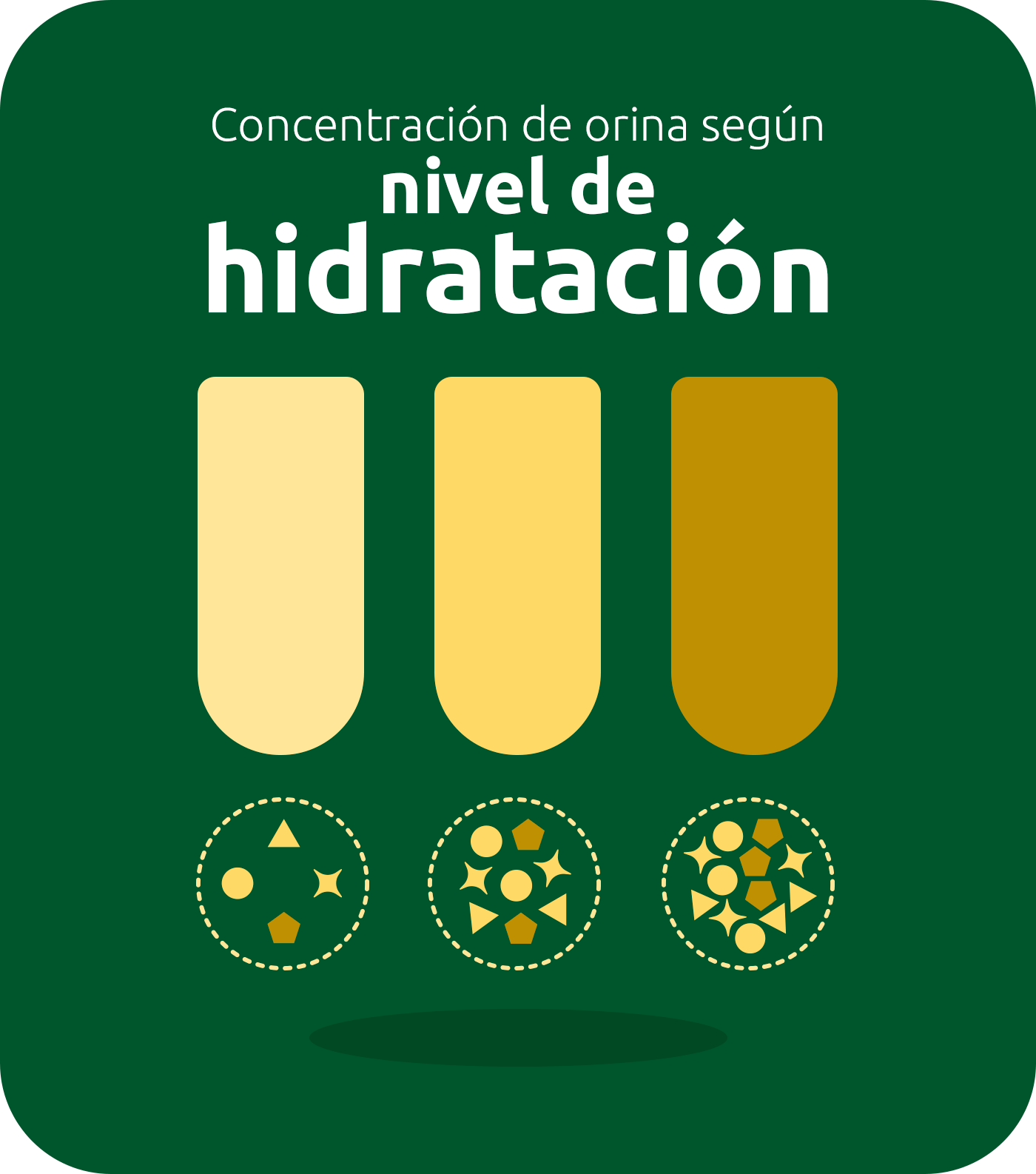 concentraci&oacute;n de orina segun el nivel de hidratacion