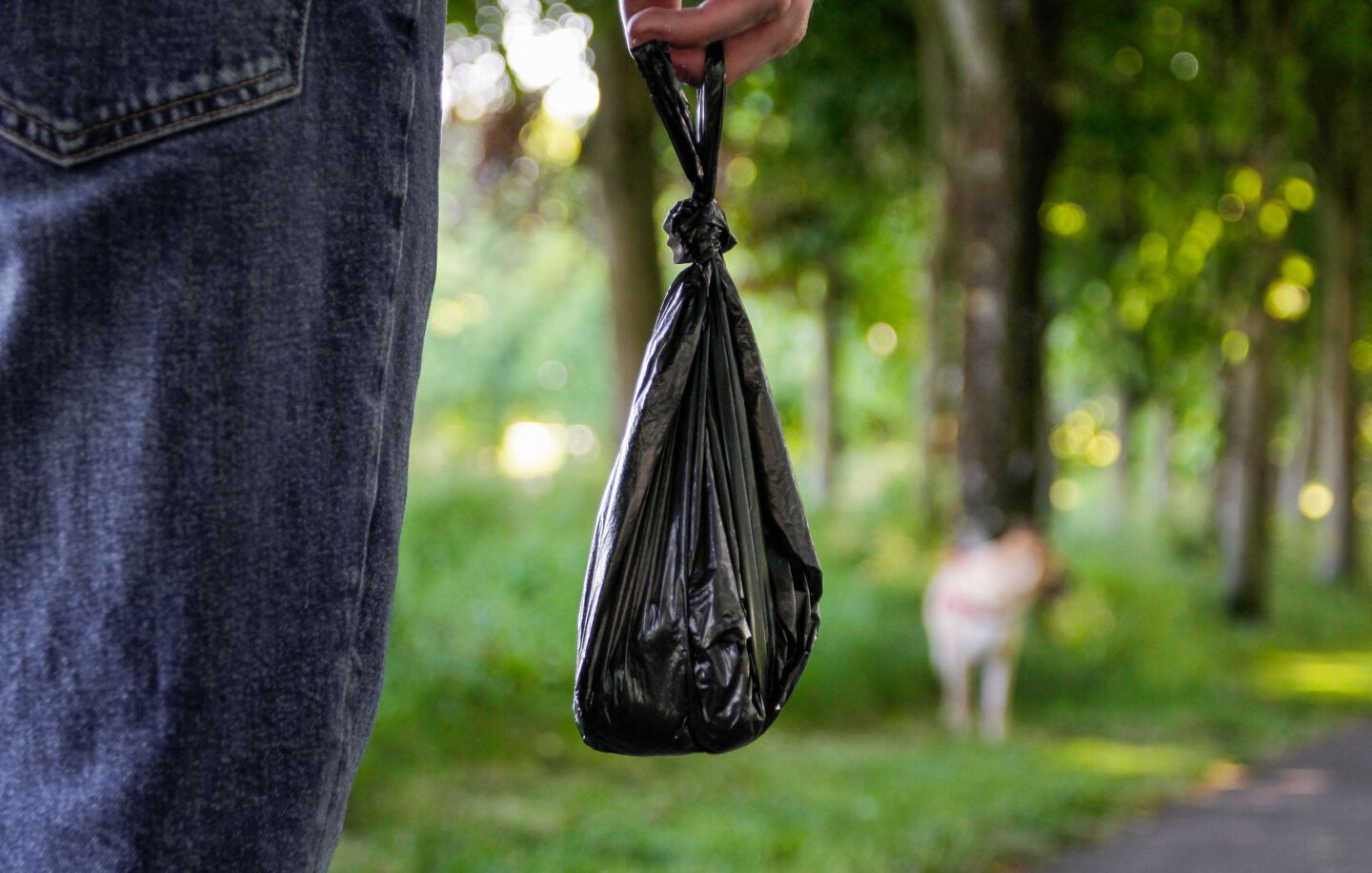 Pet parent sujetando un bolsa de heces de perro
