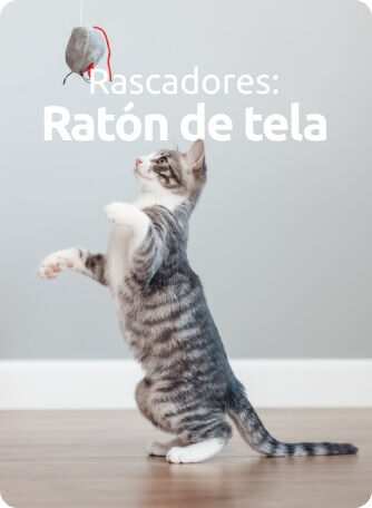 Rascadores para gatos