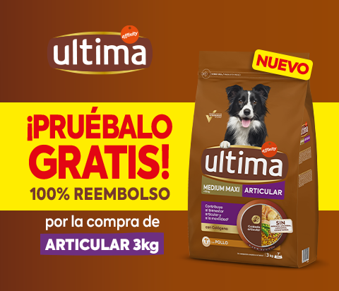 ULTIMA_BannerPromo_ArticularDOG_PromoReembolso_480x412_v2_Oct2026.png