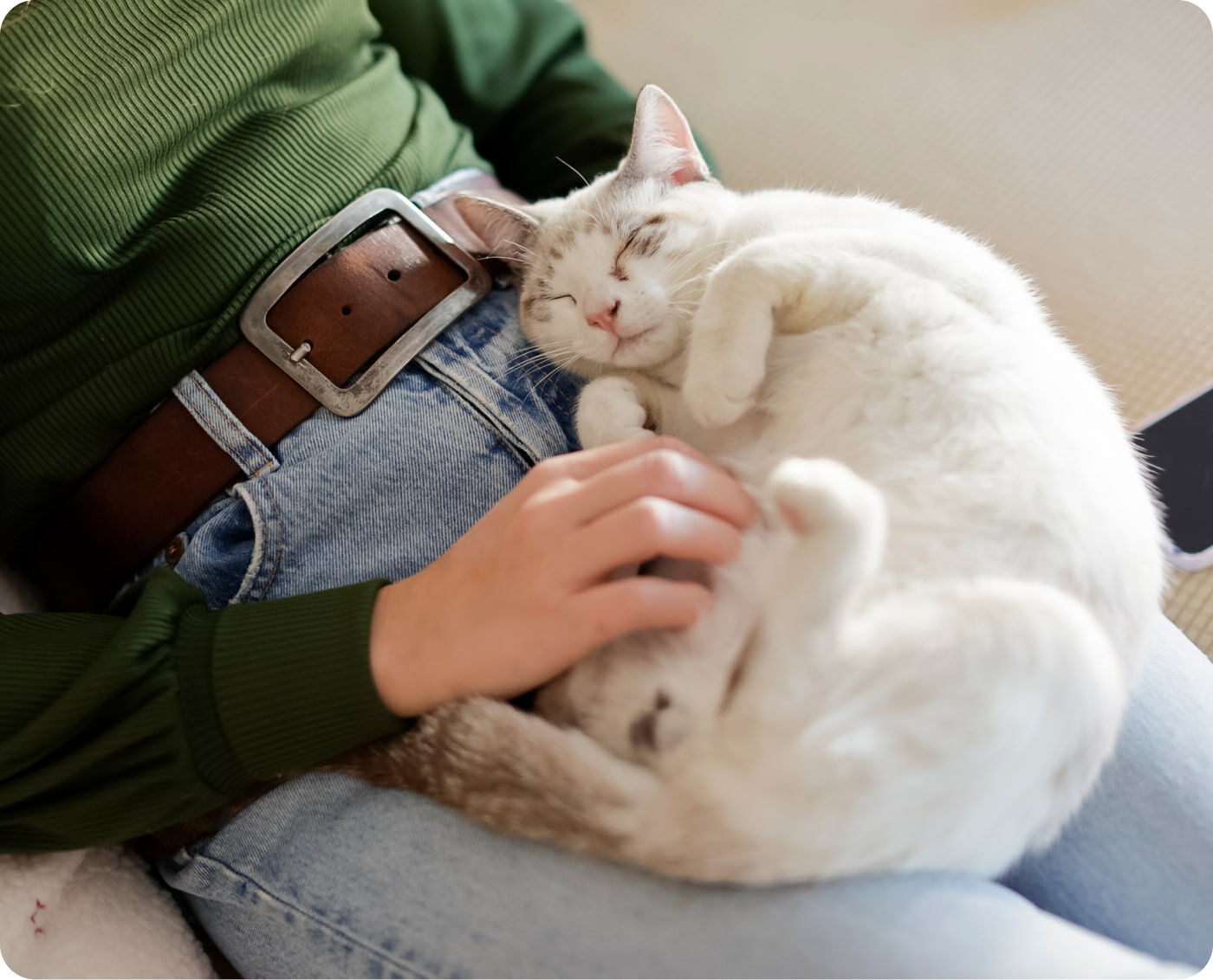 gato con mujer