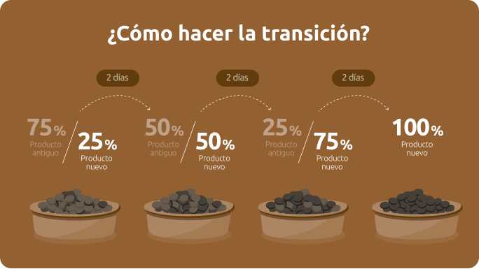 Transici&oacute;n comida perro
