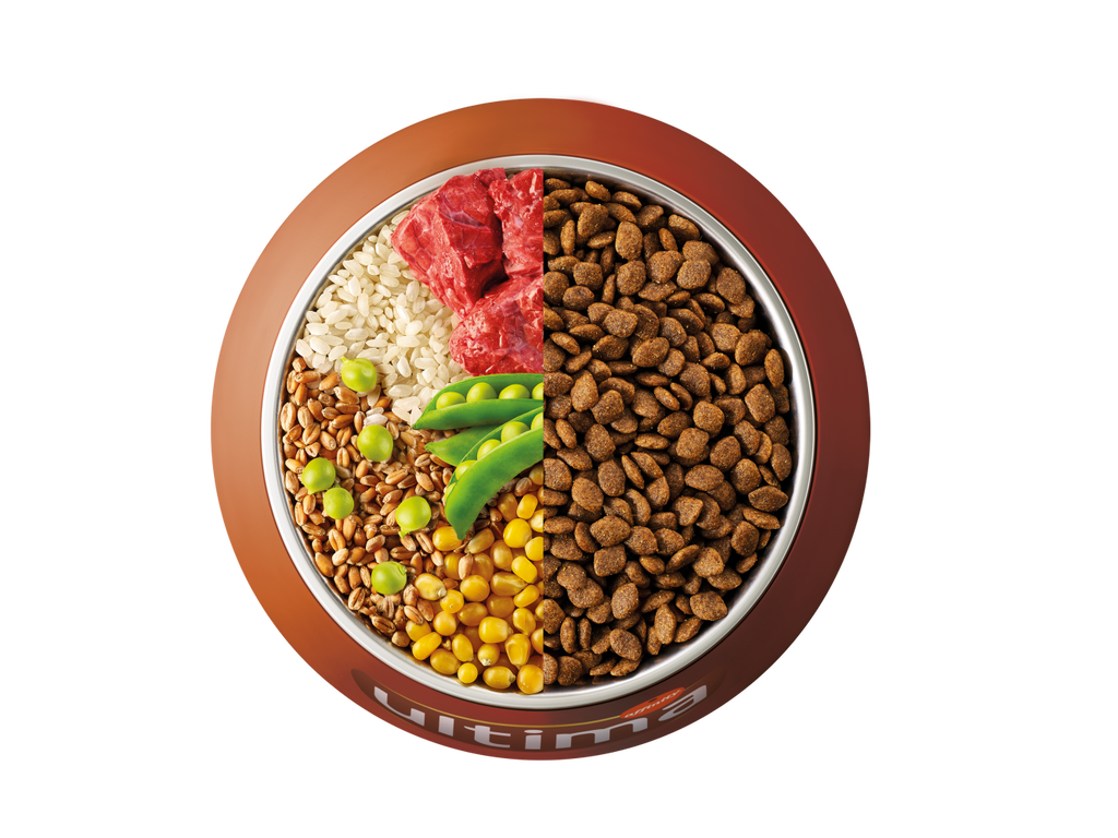 Buey, arroz, cereales integrales y guisantes