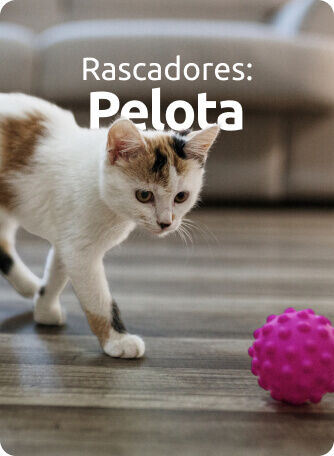 Rascadores para gatos