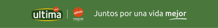 C&oacute;mo elegir el transport&iacute;n para tu gato