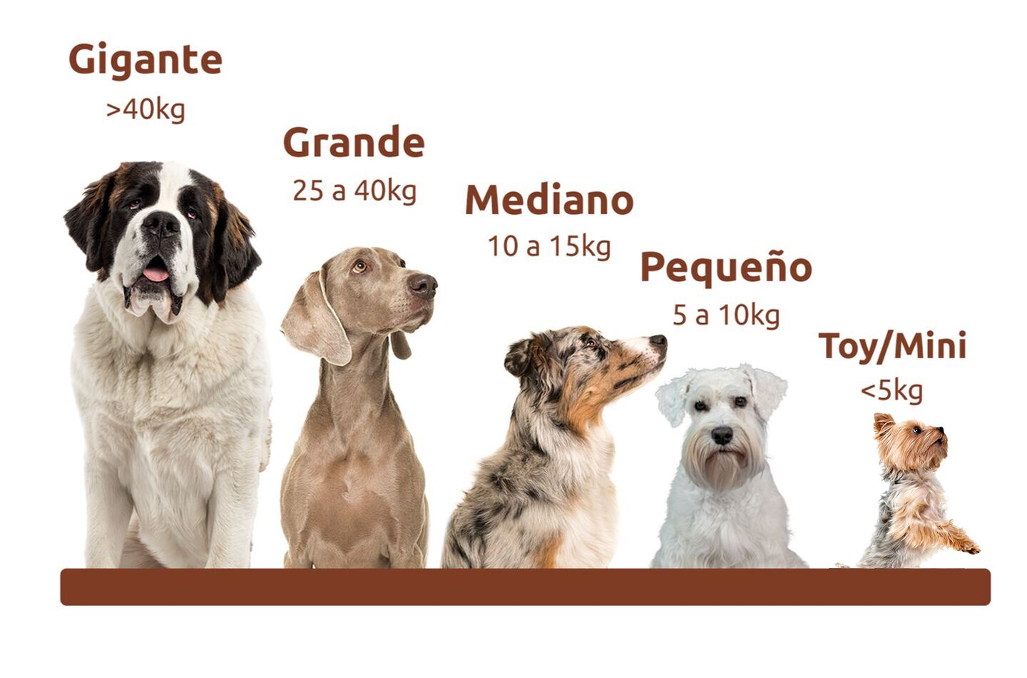 Tama&ntilde;o del perro seg&uacute;n su peso