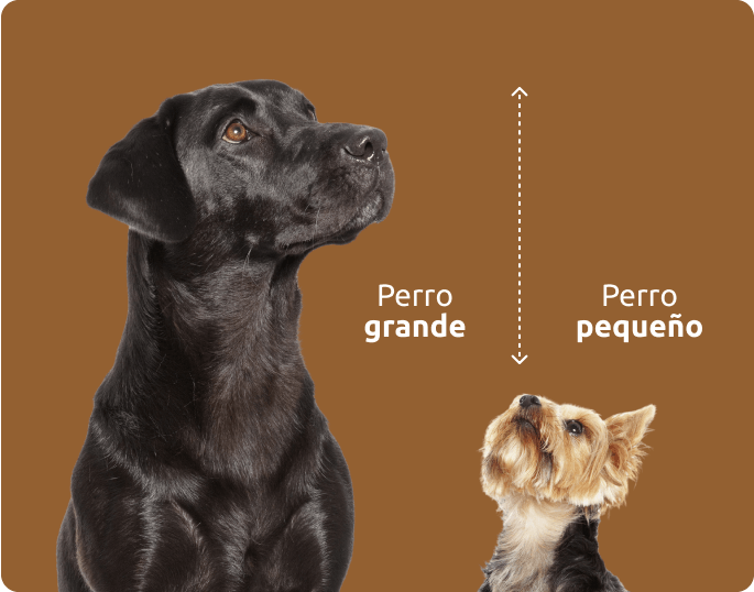 Tama&ntilde;os de perro