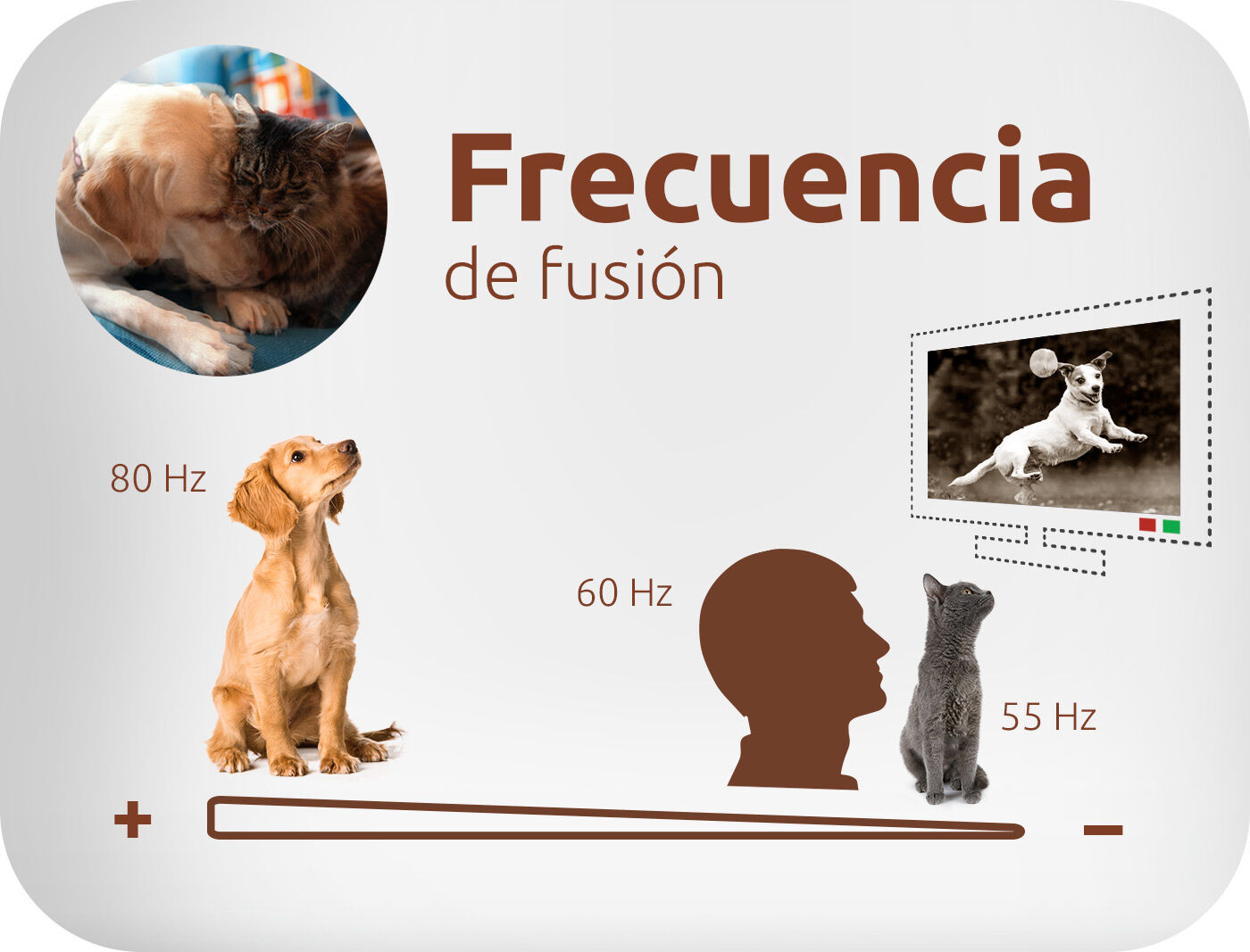 Frecuencia de fusi&oacute;n