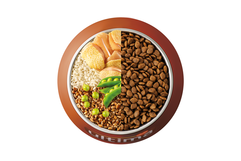 Bowl con ingredientes comida seca perro