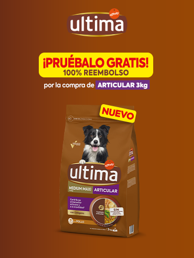 V4 ULTIMA_BannerHome_Desktop_ArticularDOG_PPromoReembolso_1440x720_v3 (1).png