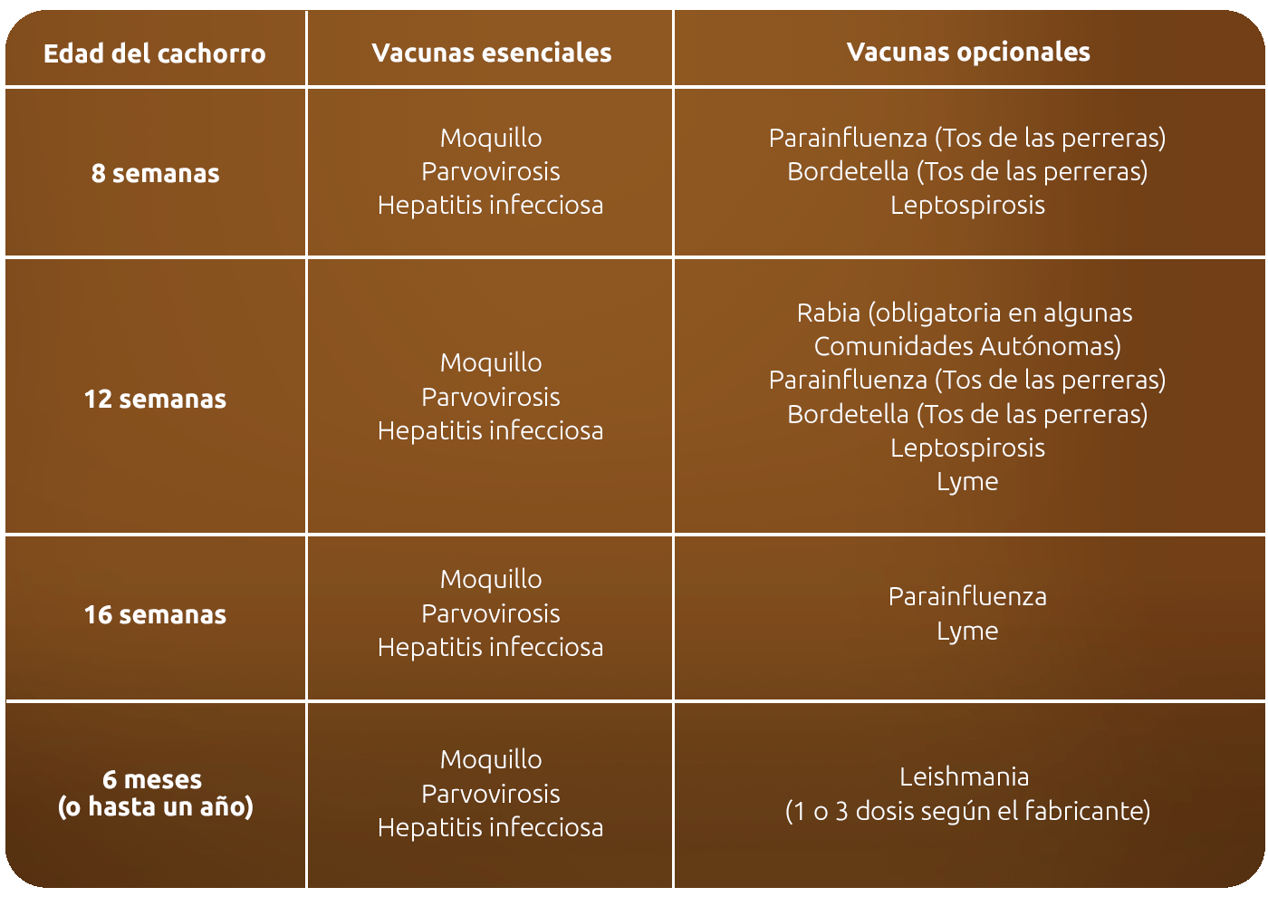 Calendario de vacunas para perros