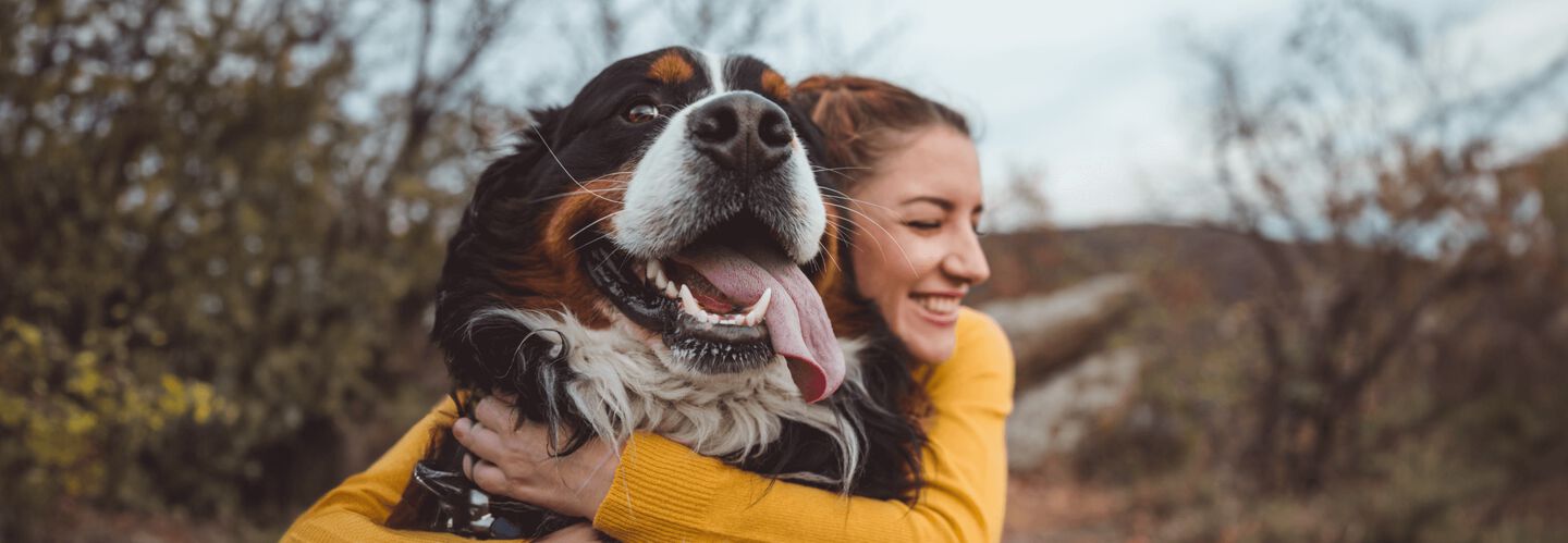 La salud de un perro adoptado