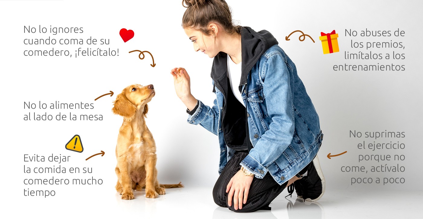 mujer alimentando perro