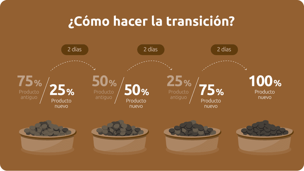 Transici&oacute;n comida perro
