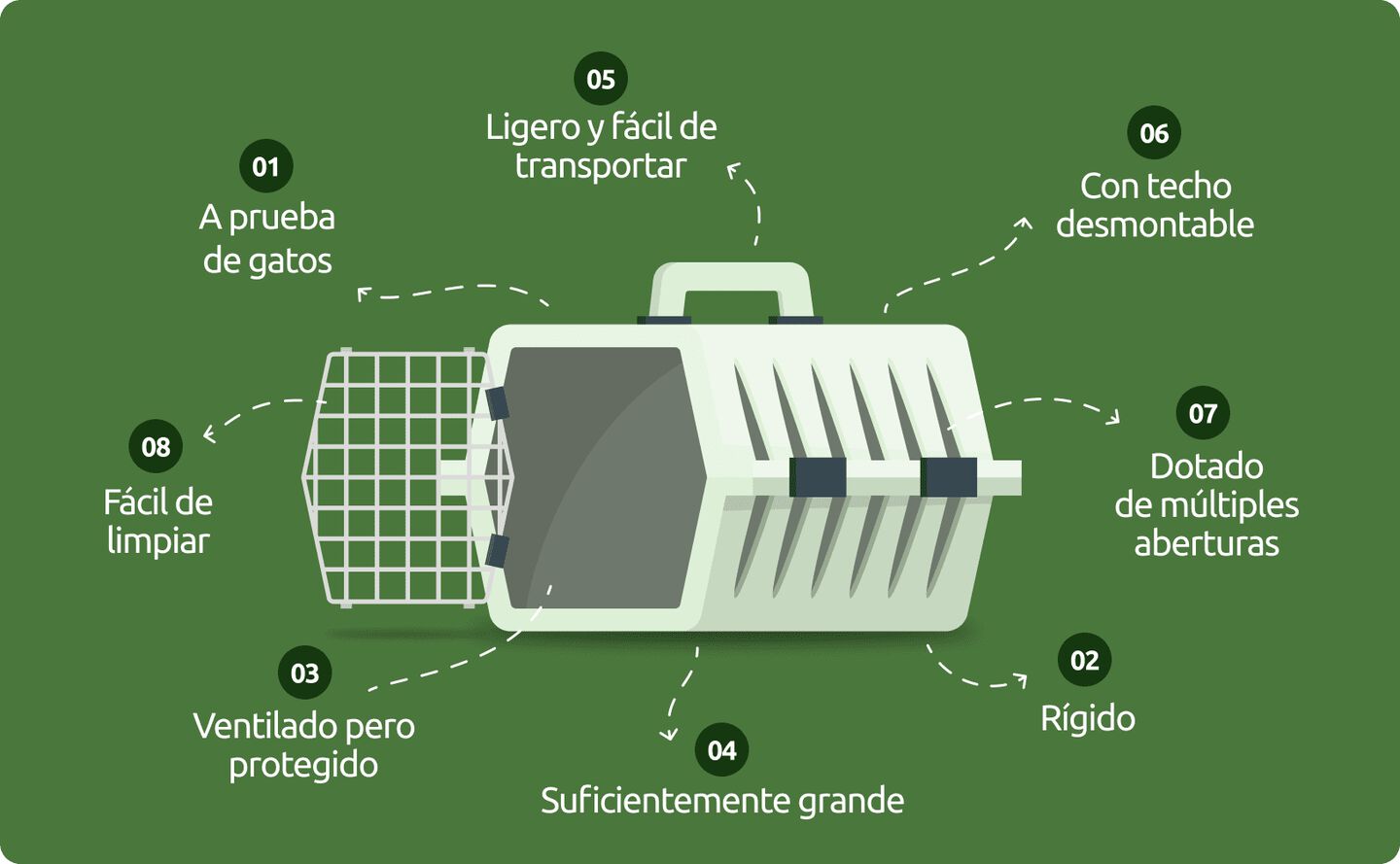 Transport&iacute;n para gato