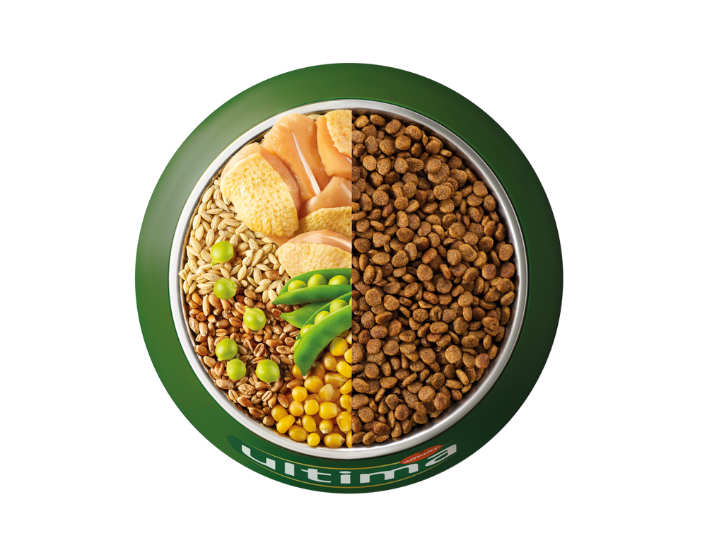 Pollo, cebada, cereales integrales y guisantes