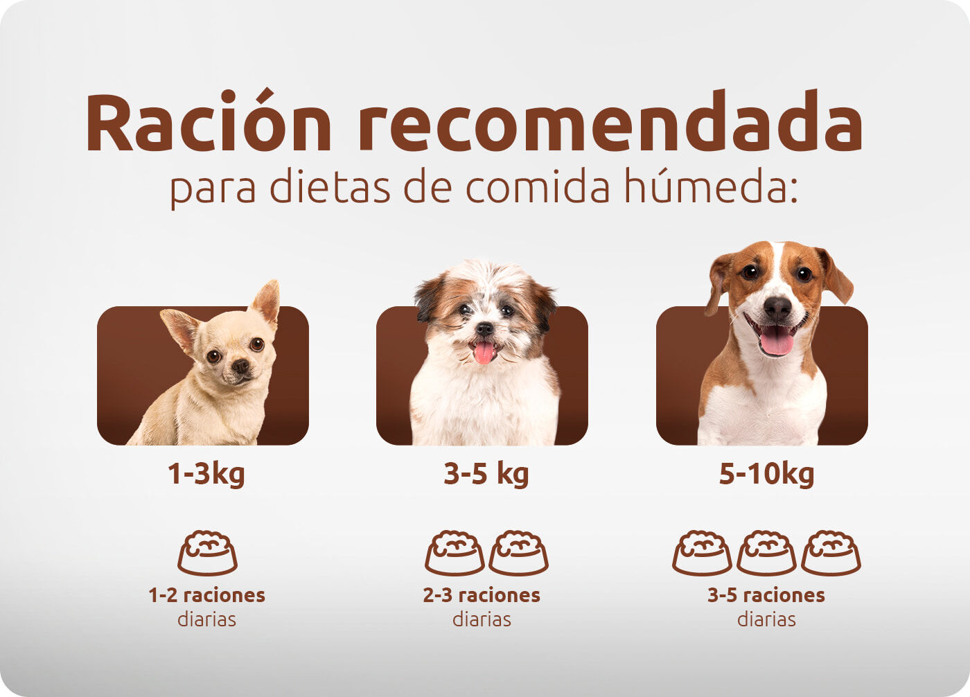 Raci&oacute;n recomendada para dietas de comida h&uacute;meda