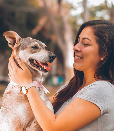 Image Link For &iquest;Qu&eacute; puedes esperar si adoptas a un perro adulto?