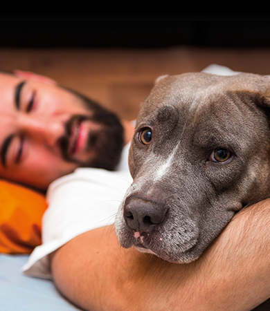 Image Link For &iquest;Es bueno dormir con tu perro?