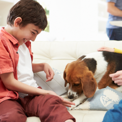 Image Link For Las mejores razas de perros para pisos