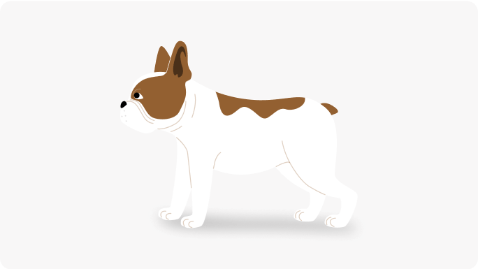 Posture haute du chien