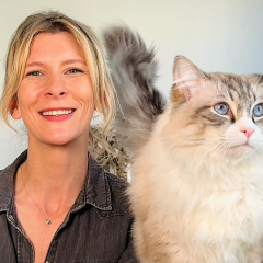 Image Link For Vacances avec chien ou chat : 6 conseils