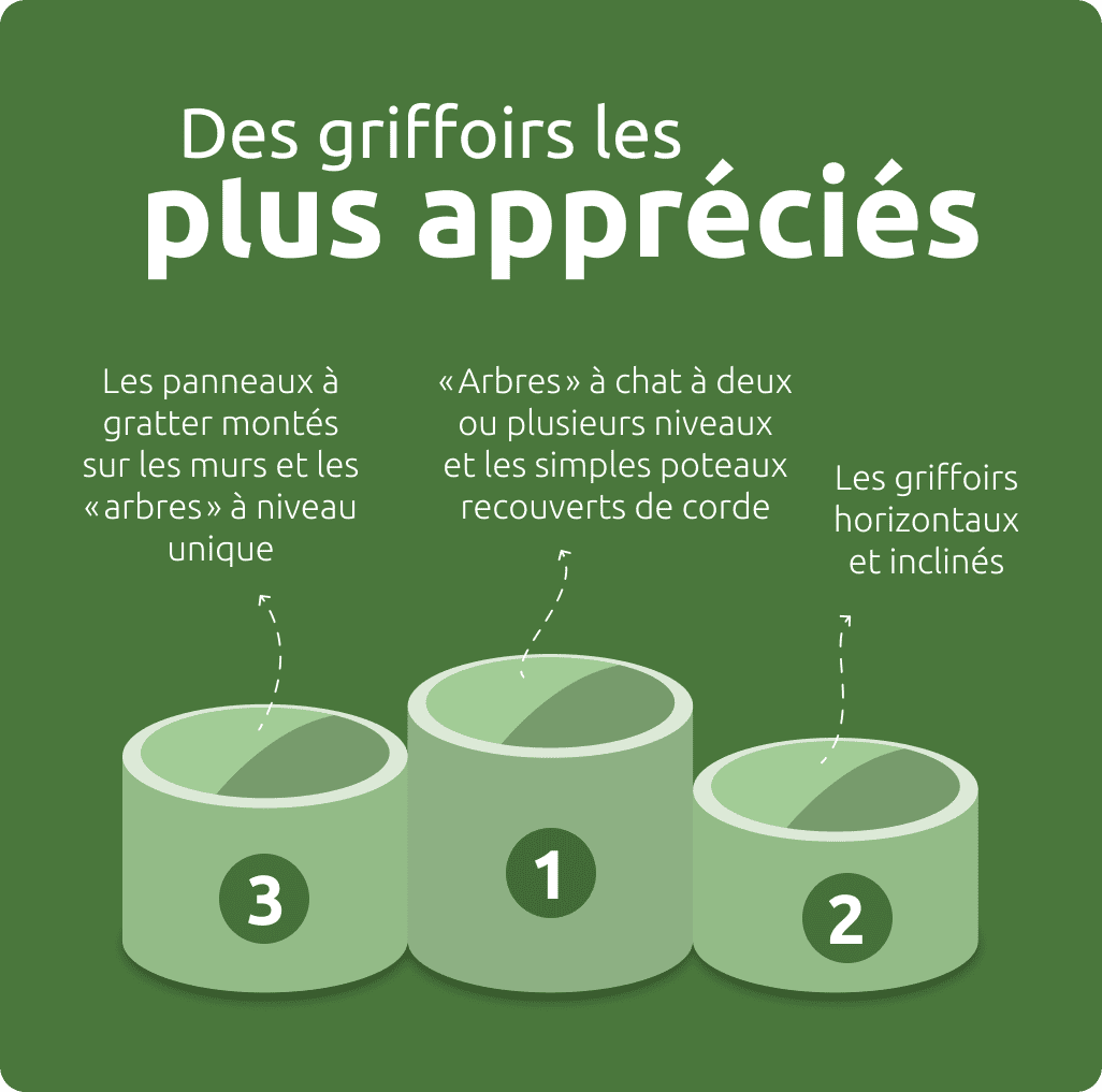 Des griffoirs les plus appr&eacute;ci&eacute;s
