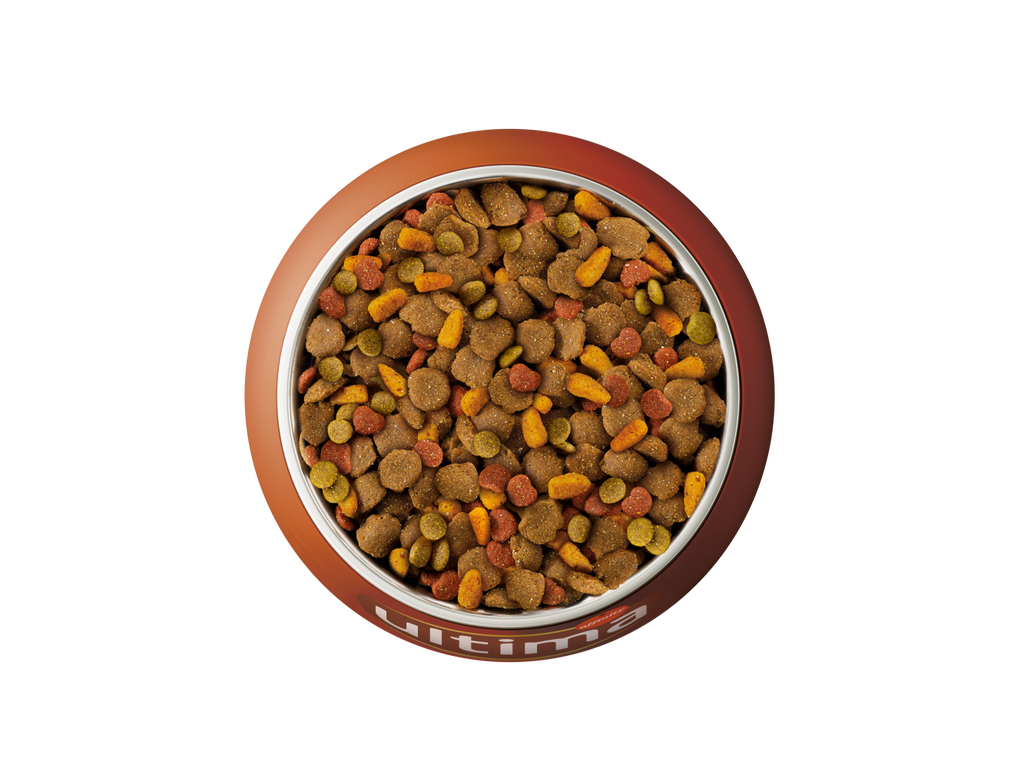 Au poulet, aux carottes, aux pois, au riz et aux c&eacute;r&eacute;ales compl&egrave;tes